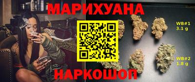 сатива Камышлов