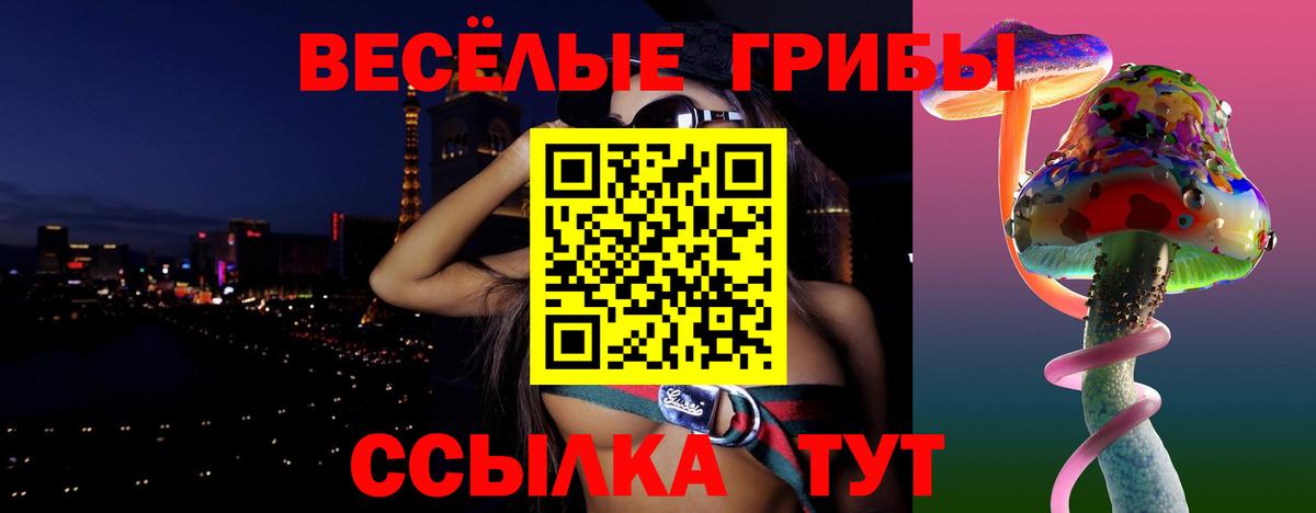 Красноярск  Псилоцибиновые грибы GOLDEN TEACHER  Вход с VPN  Псилоцибиновые грибы Psilocybine cubensis 